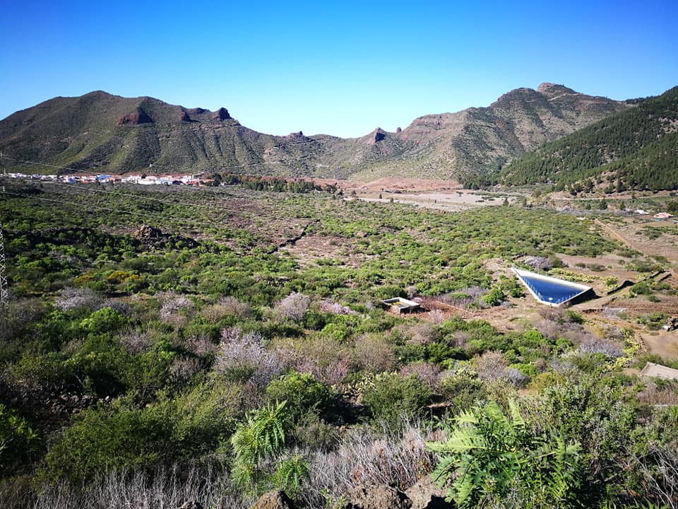 Žydinčių migdolų keliu Lankytinos vietos Tenerifeje Renginiai Lietuviu bendruomene Tenerifeje