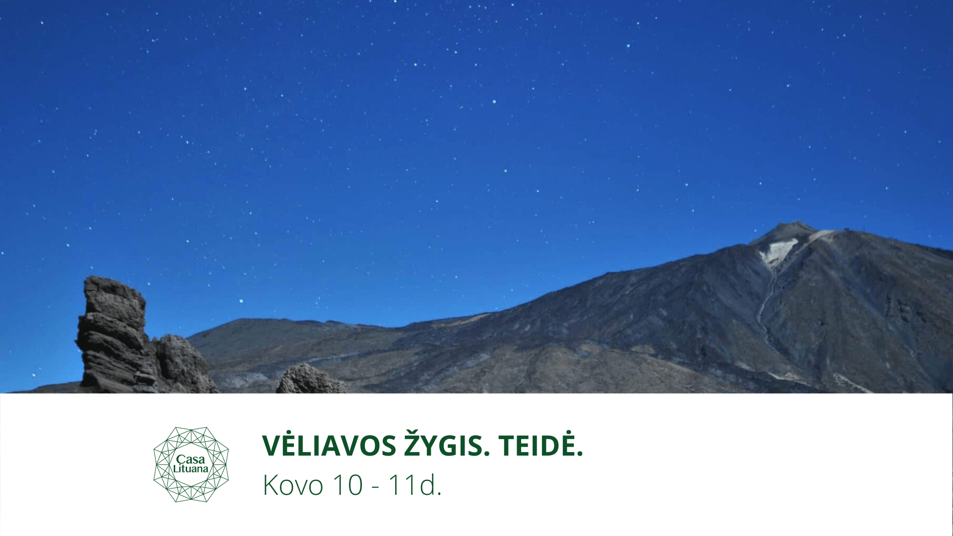 VĖLIAVOS ŽYGIS. TEIDĖ. 2020