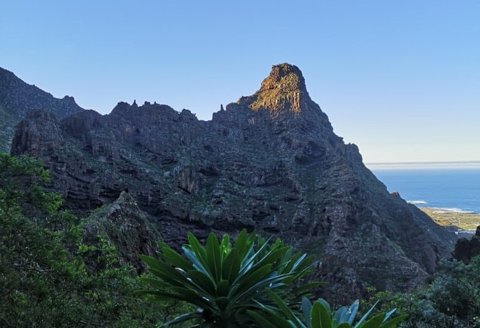 zygis los Silos renginiai Atostogos Tenerifeje lietuviu bendruomene (10)ą